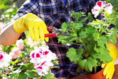 Lawn mowing service in a Yeading residential garden