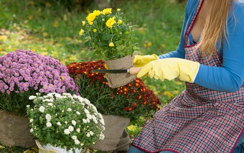 Written complaint submitted for garden services