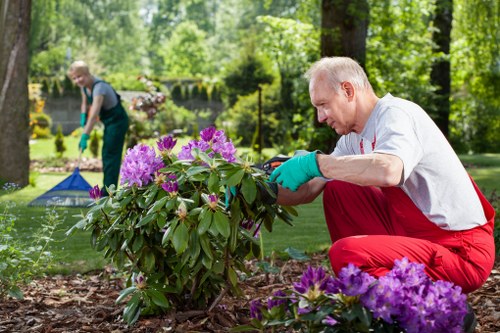 Lawn aeration and care work on a Yeading garden