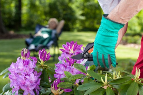 Outdoor landscaping features in Yeading with planting and defined pathways