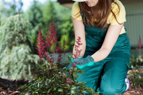 Final review of a landscaping service complaint