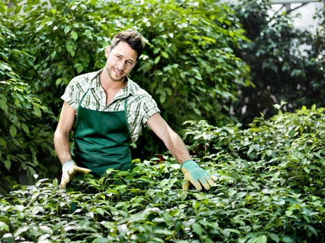 Trained landscaper using PPE during a Yeading garden project