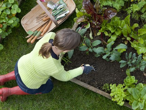 SSL encryption protecting landscaping payments