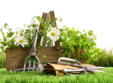 Screen-reader friendly Yeading landscapers accessibility information