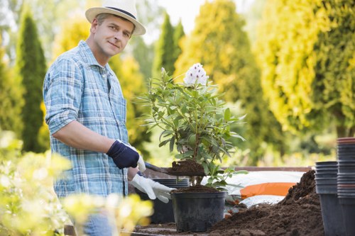 Risk assessment carried out before landscaping work begins