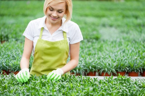 Garden redesign and turfing in Yeading