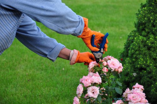 Professional Yeading landscaping team working safely on site