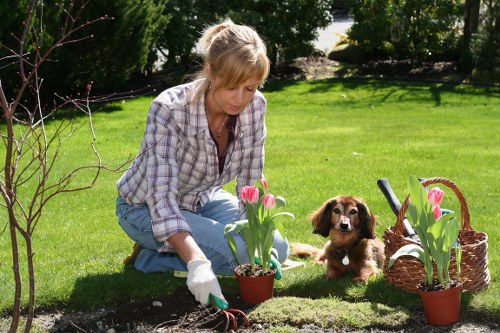 Seasonal planting for a Yeading patio with containers and structured greenery